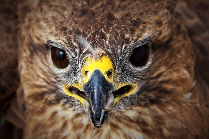 Özgürlük için gün sayıyorlar G1