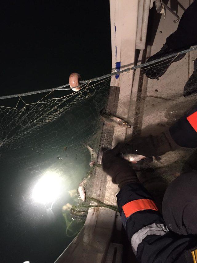 Van Gölü'nde kaçak avlanan 250 kilo inci kefali ele geçirildi