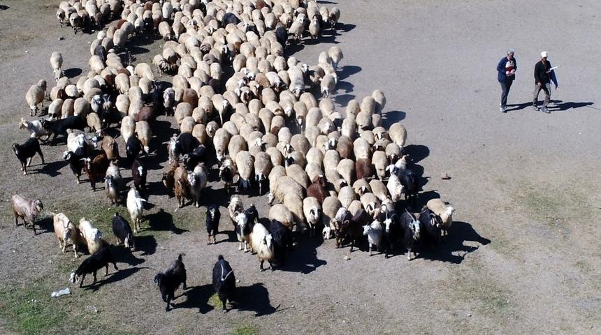 Besicilerin "Mera" hasreti sona erdi