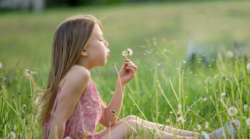 Polenler sinüziti tetikler mi? Sinüzitten korunmanın yolları nelerdir?
