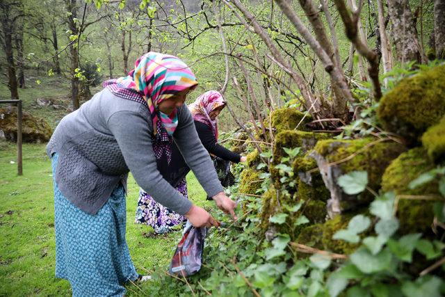 Isırgan otu ipliğinden dokunan ürünler, yok satıyor