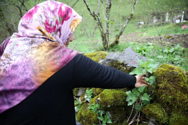 Isırgan otu ipliğinden dokunan ürünler, yok satıyor