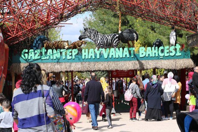 Hayvanat bahçesinde 23 Nisan bereketi