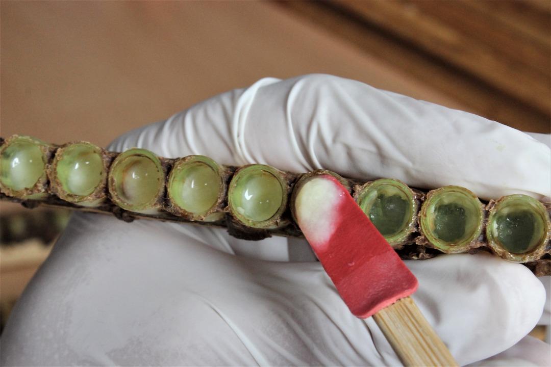 Kilosu 6 bin lira! Siparişlere yetişemiyorlar...