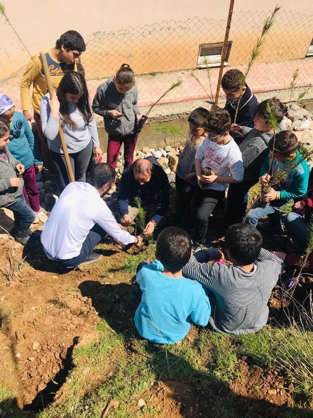 Kalp krizi geçiren arkadaşları anısına ormanlık alan oluşturdular