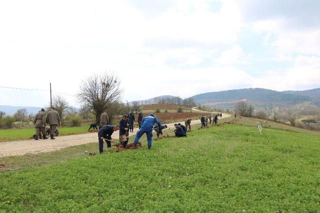 Jandarma ekiplerinden fidan dikimi