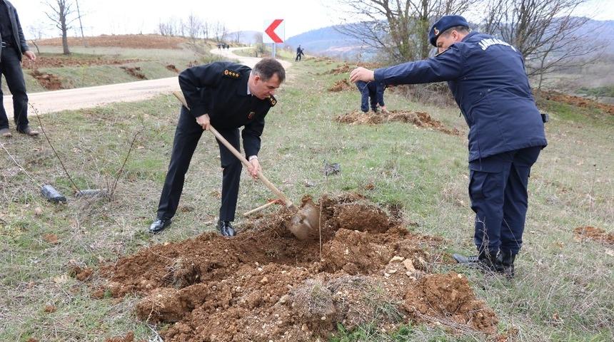 Jandarma ekiplerinden fidan dikimi