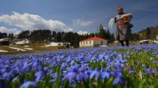 Foto safarinin gözde adresi: Kadıralak Yaylası 