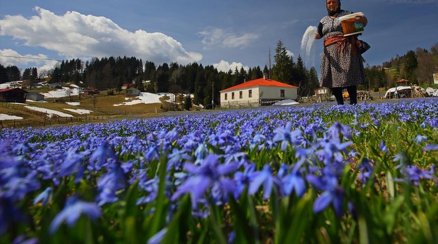 Foto safarinin gözde adresi: Kadıralak Yaylası 