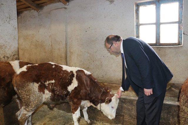 Şahin, meralar ve işletmelerde incelemelerde bulundu