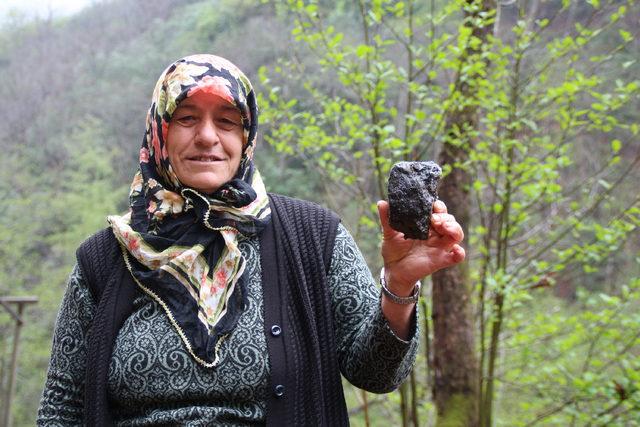 Bal ormanına 'taş ocağı' projesinin iptal davası görüldü