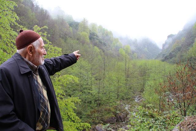 Bal ormanına 'taş ocağı' projesinin iptal davası görüldü