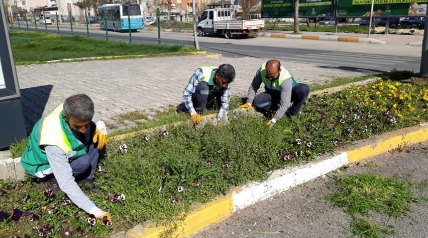 Adıyaman Belediyesi&rsquo;nden yabani otlarla m&uuml;cadele
