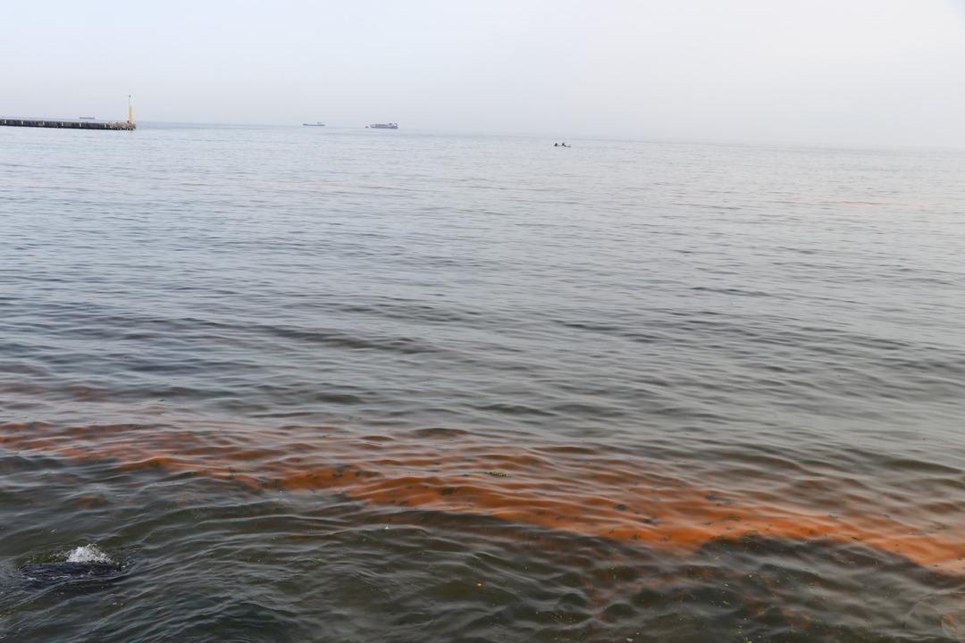 Tekirdağ'da korkutan g&ouml;r&uuml;nt&uuml;! Uzmanlardan a&ccedil;ıklama geldi