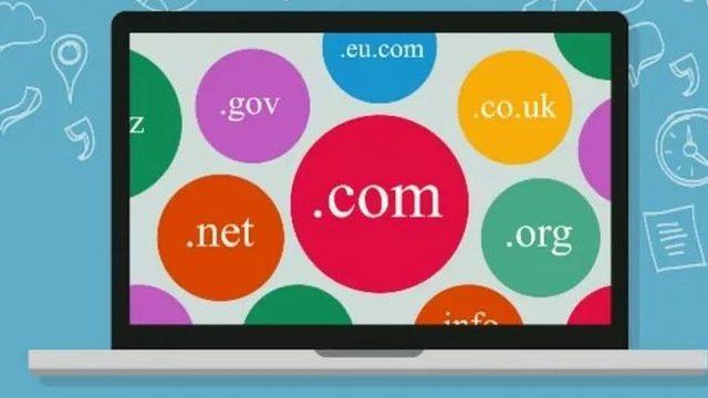 Domain ile ilgili son derece ilginç bir araştırma yapıldı