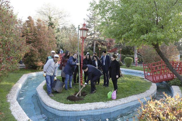 Kadim dost Güney Kore’den kardeşlik adımı 1