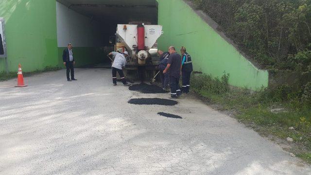 Sapanca sokaklarına bahar bakımı