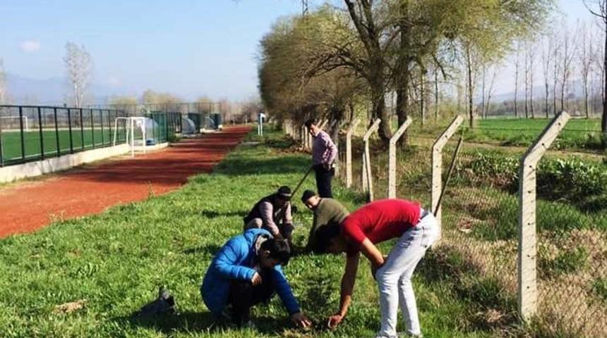 Hisarcık il&ccedil;e stadı &ccedil;evresi ağa&ccedil;landırıldı