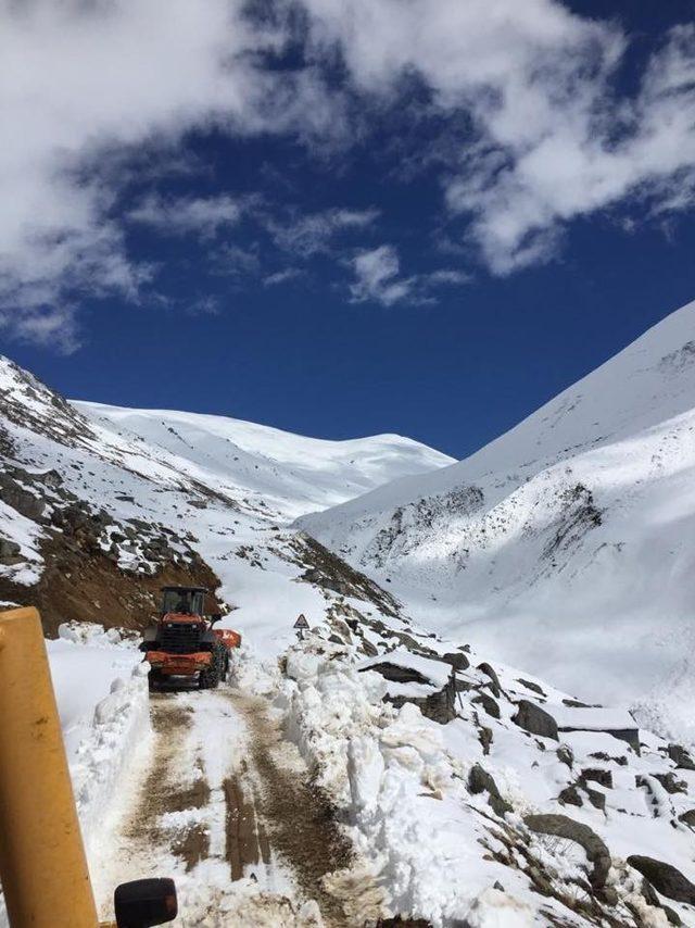 Rize yaylalarında bahar temizliği