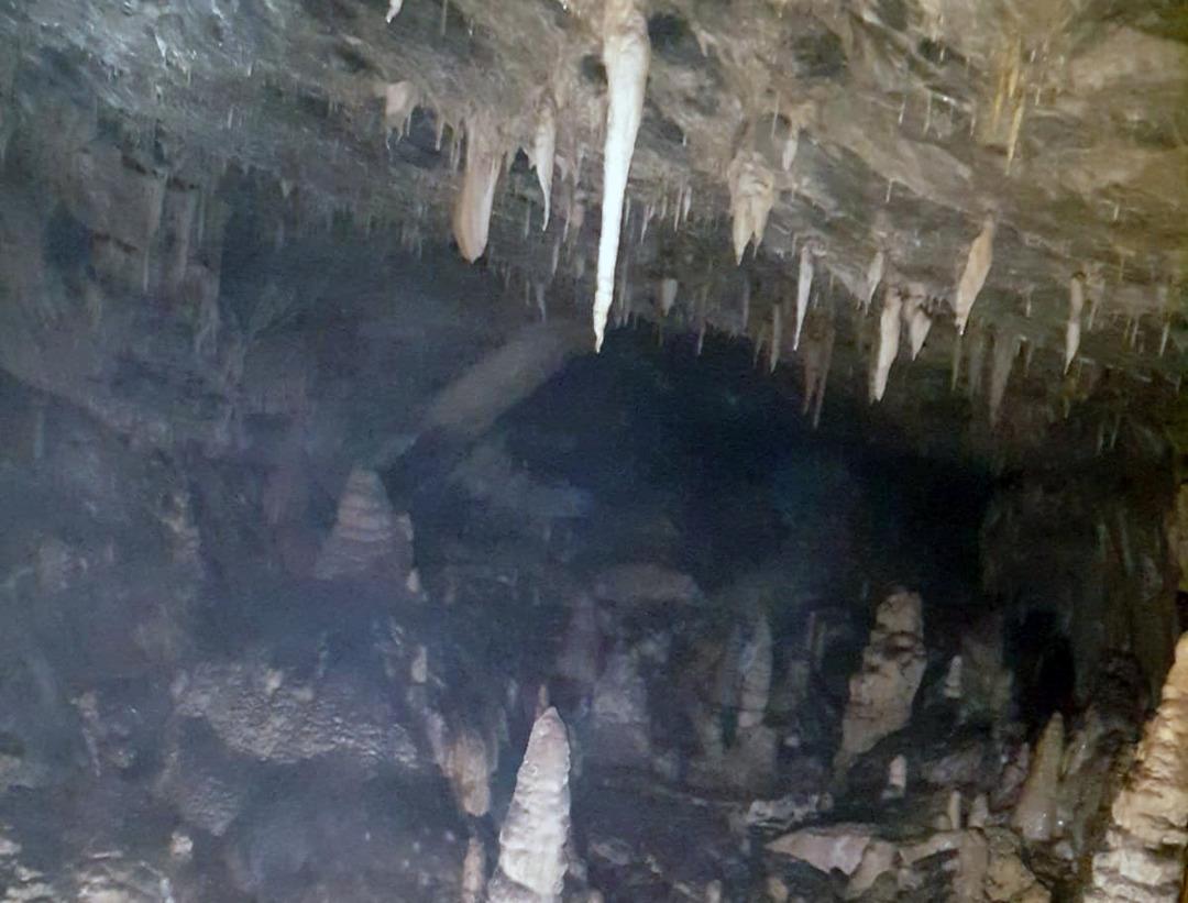 Tunceli'de ter&ouml;rist cesedi bulundu! İnfaz etmişler