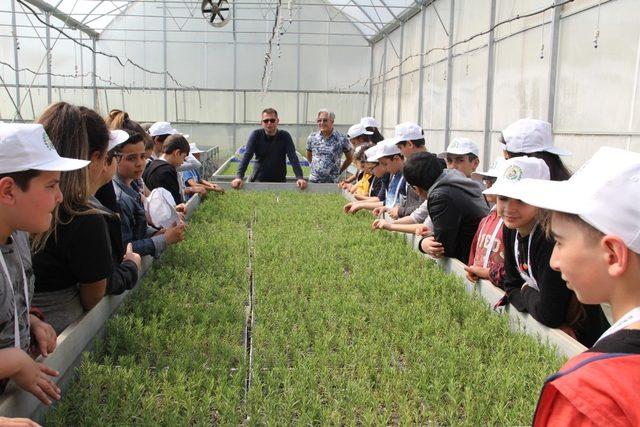 Antalya’da  ‘Yeşeren Çocuklar Projesi’ 800 çocuğa ulaştı