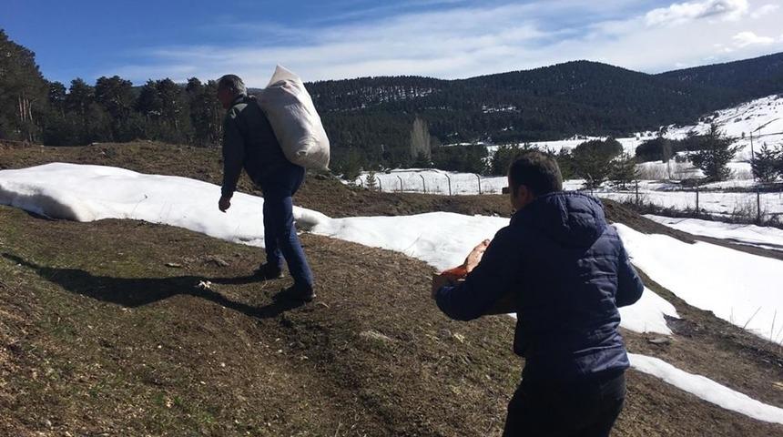 Kars&rsquo;ta yaban hayvanlara yem bırakılıyor