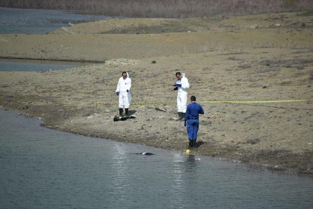 Kayıp kadının baraj gölünde cesedi bulundu