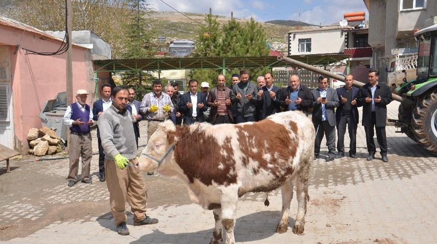 Mahalle sakinleri, bereket ve bolluk i&ccedil;in kurban kesti