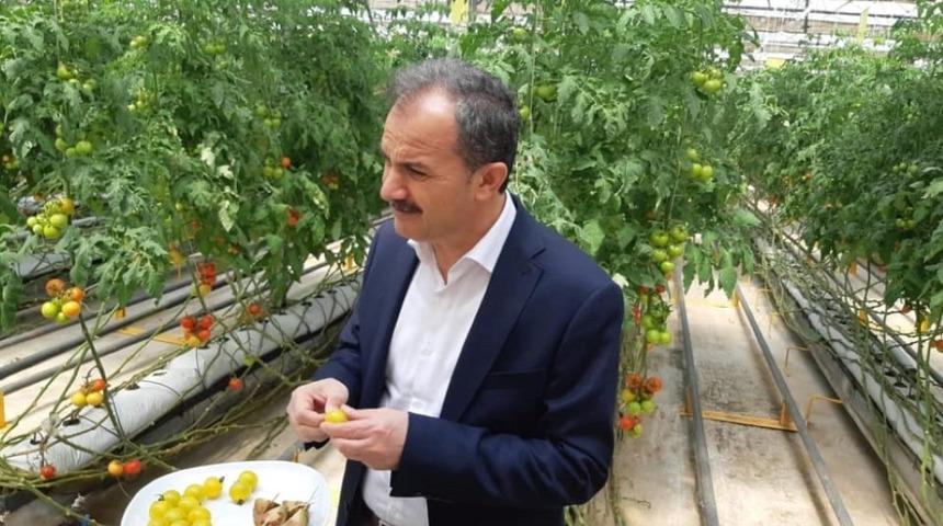 Başkan Kılın&ccedil;, Ankara&rsquo;da katı atık tesislerini inceledi