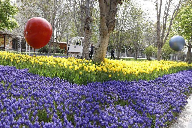 Kayseri’de caddeler çiçek açtı