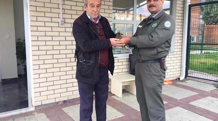 K&uuml;tahya&rsquo;da yaralı su tavuğu tedavi altına alındı