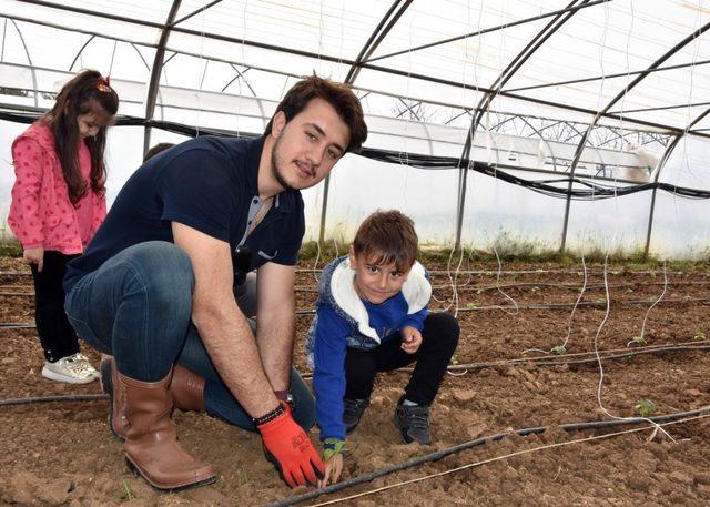 Minikler üniversitede salatalık fidesi dikti