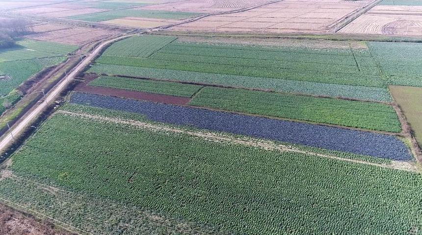 Kırsaldan kente göçü önlemek için üreticiye destek