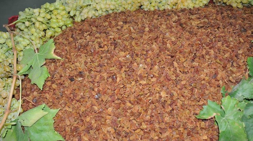 Üzüm üreticisine yaş ya da kuru tercihini erken yap çağrısı