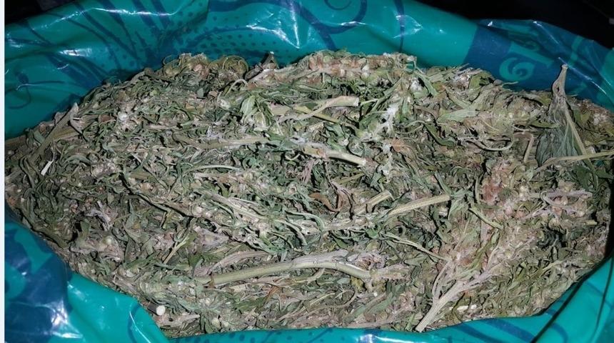 Uyuşturucu operasyonu: 2 gözaltı