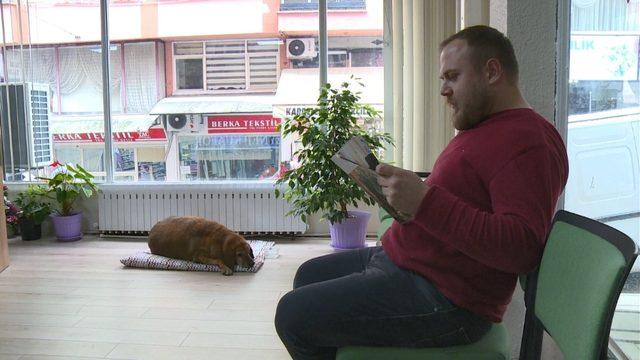 Sokak köpeği Noter huzurunda hayatını yaşıyor