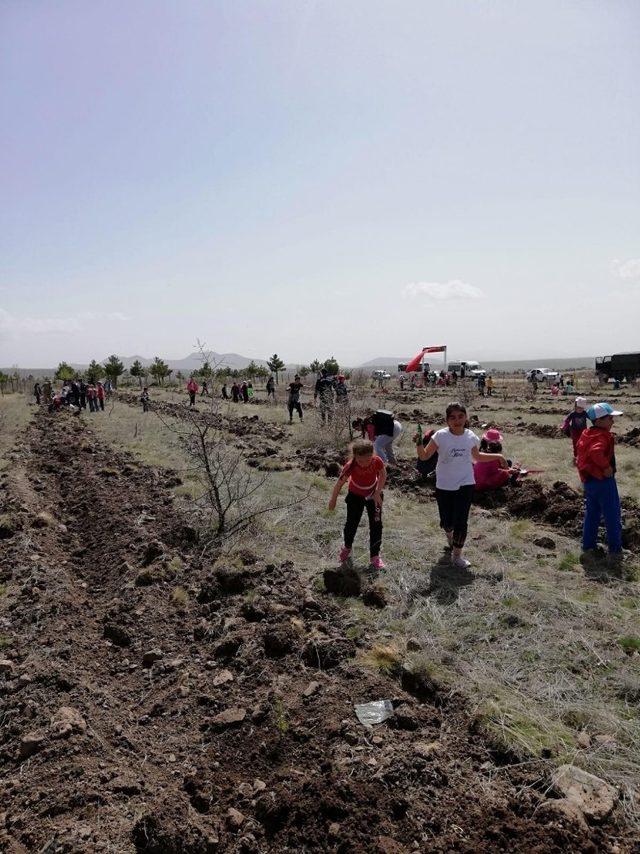 Beyşehir Jandarma Hatıra Ormanında fidan dikme etkinliği