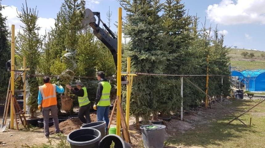 Nevşehir&rsquo;deki 110 bin kişi i&ccedil;in 110 bin ağa&ccedil; dikilecek