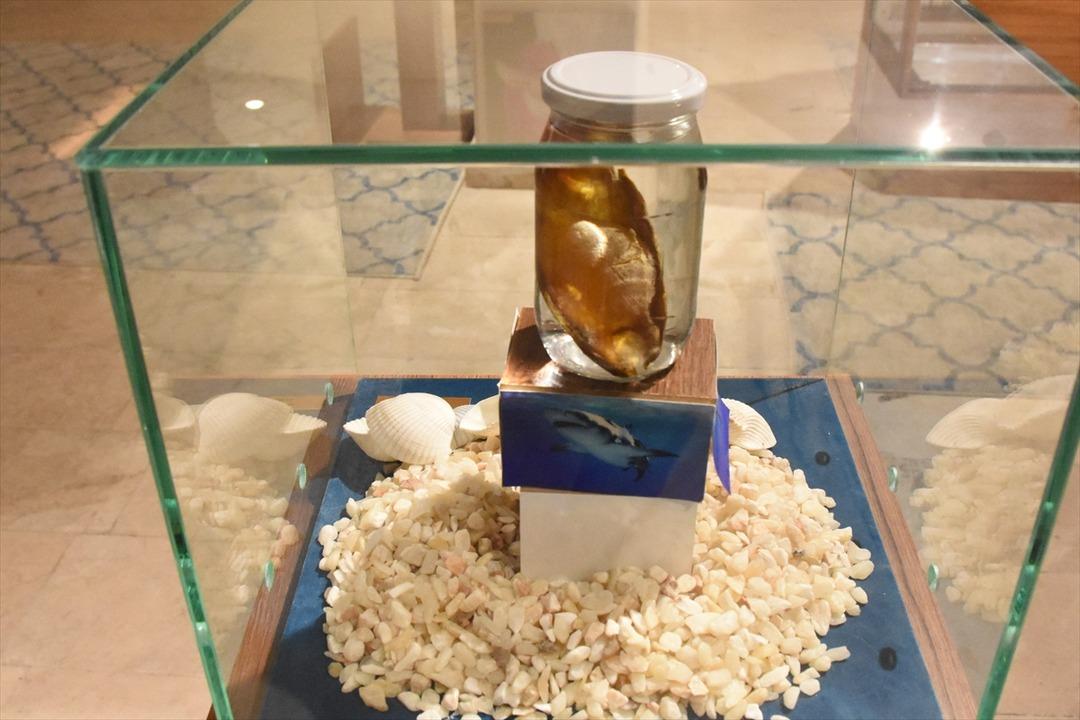 Yumurta M&uuml;zesi g&ouml;renleri şaşırtıyor! '19 bin yumurta kabuğu kullanıldı'