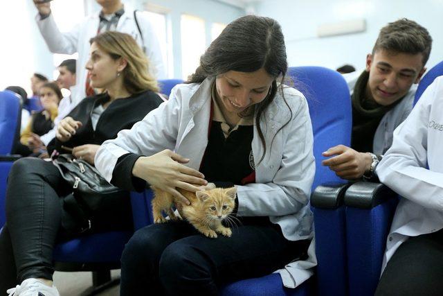 Büyükşehir’den hayvan sevgisi ve bakımı semineri