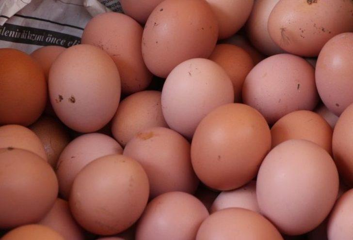 Bu haberden sonra yumurtanın kabuğunu atmayacaksınız!   G1