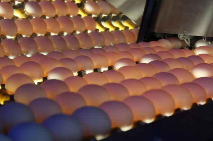 Bu haberden sonra yumurtanın kabuğunu atmayacaksınız!   G3