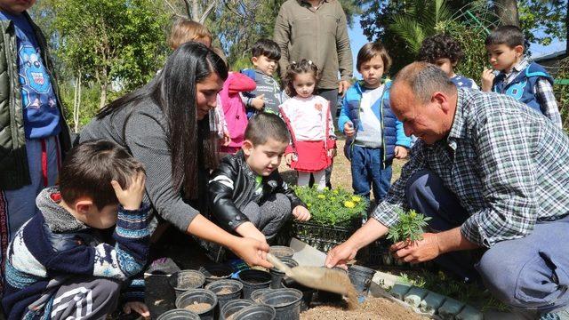 Minikler, çiçek dikmeyi öğrendi