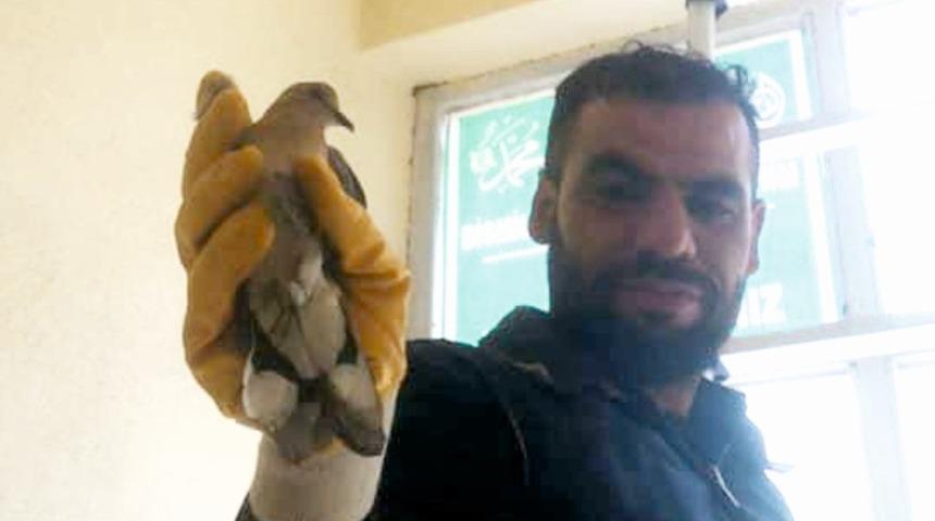 Bina girişinde mahsur kalan kuş itfaiye eri tarafından kurtarıldı