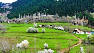 Artvin'in sakin şehri Şavşat'ta ilkbahar bir başka güzel 