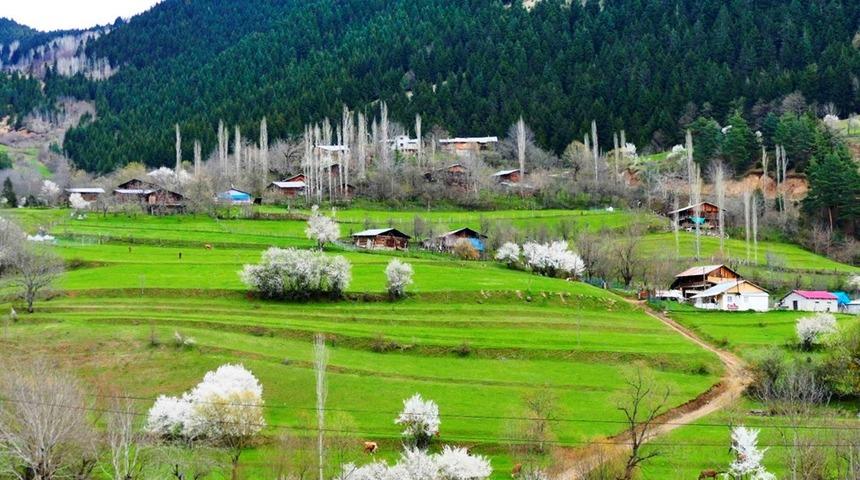 Artvin'in sakin şehri Şavşat'ta ilkbahar bir başka güzel 