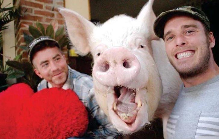 Sıradışı! Evlerinde öyle bir şeyle yaşıyorlar ki... G4