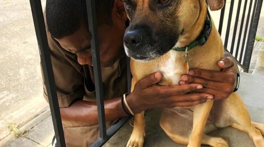 &Ouml;yle bir tutkusu var ki! G&ouml;rd&uuml;ğ&uuml; her k&ouml;pekle...