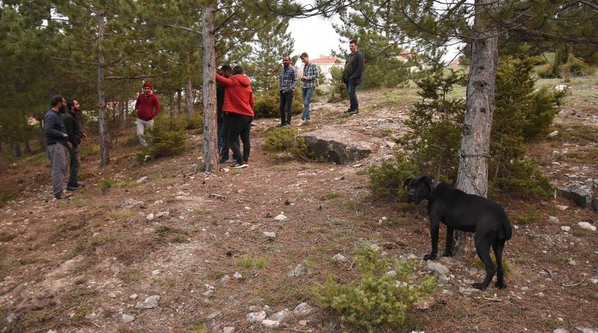 K&ouml;peğe tecav&uuml;z iddiasıyla 2 kişiye g&ouml;zaltı