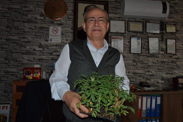 Ziraat Yüksek Mühendisi Çelen; "Fidelerin dikiminden sonra bakımı da oldukça önemli" G4